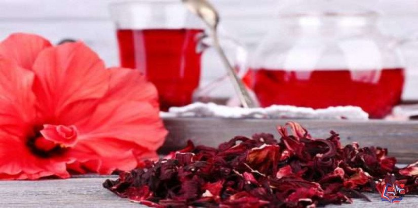 فوائد الكركديه الساخن لضغط الدم وفوائد أخرى