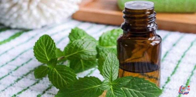 فوائد النعناع للبطن .. النعناع يوفر الراحة للمعدة ويدعم صحة الجهاز الهضمي