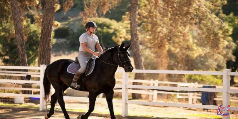 فوائد ركوب الخيل .. فوائد صحية ونفسية