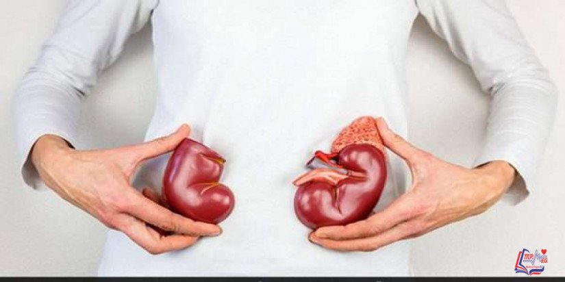 مرض الكلى المزمن Chronic kidney disease