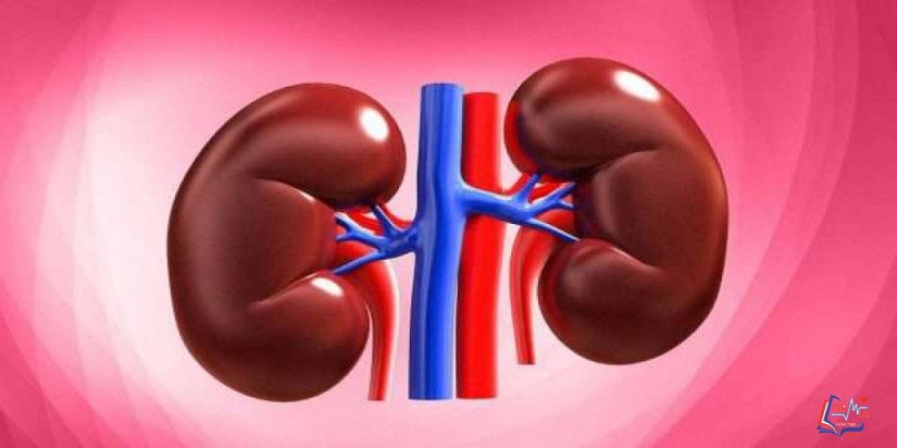 اعتلال الكلية بالجلوبيولين المناعي أ IgA nephropathy