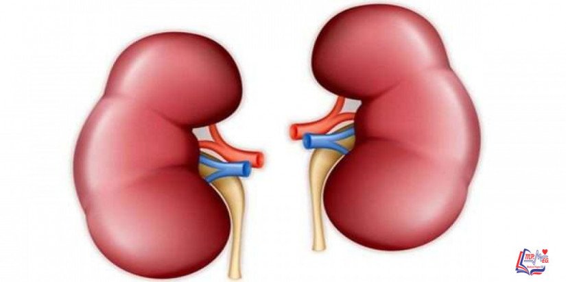 المتلازمة الكلوية Nephrotic syndrome