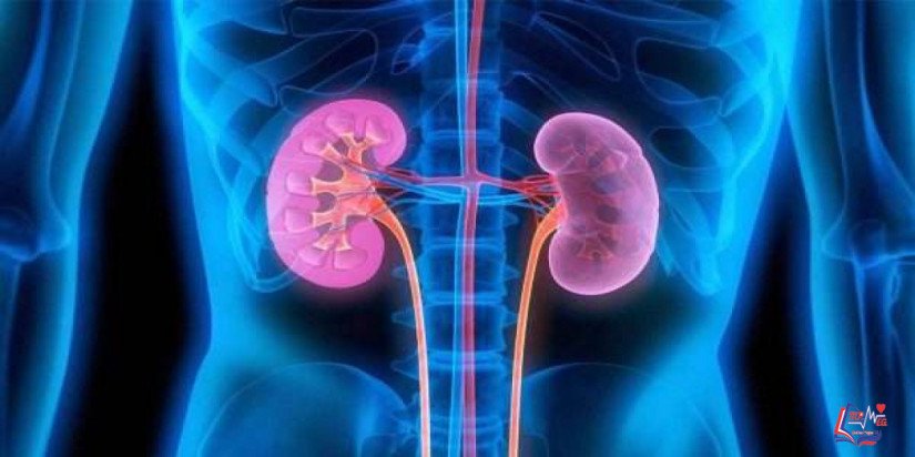 الفشل الكلوي الحاد Acute kidney failure