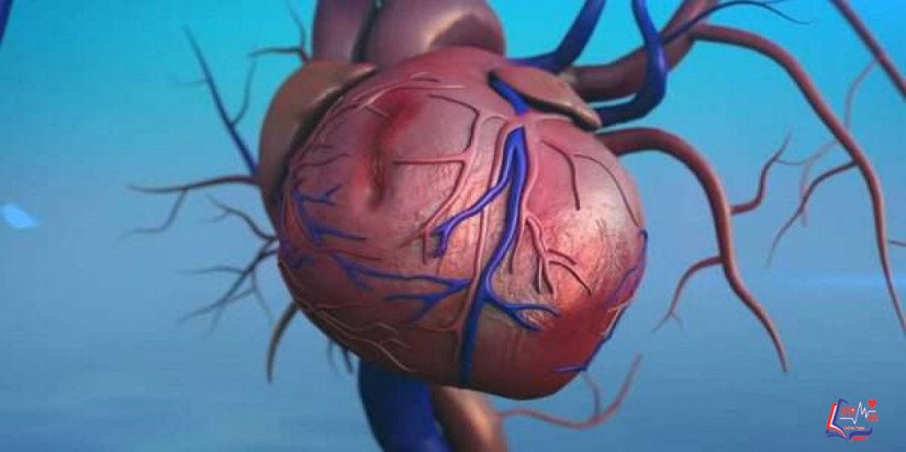 تضيق الشريان الاورطي Coarctation of The Aorta