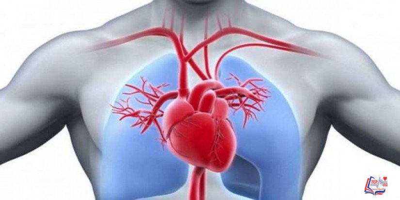 ضيق الصمام الرئوي Pulmonary valve stenosis