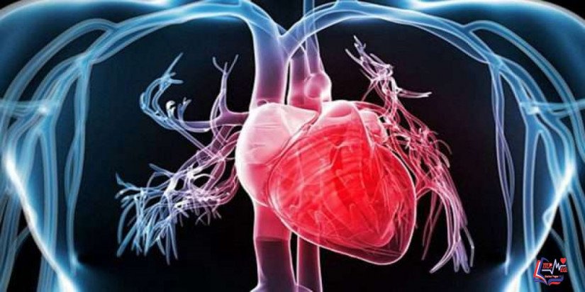 ارتجاع الصمام الميترالي Mitral valve regurgitation