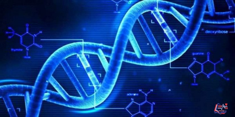 متلازمة حذف 1p36 deletion syndrome 1p36