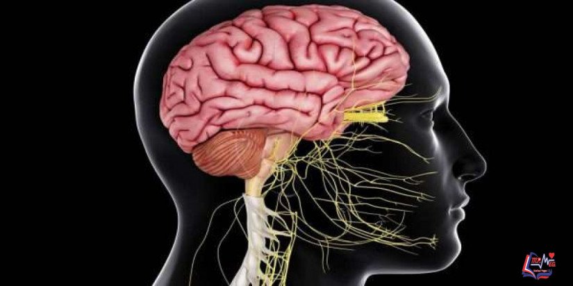 حثل المادة البيضاء المتبدل اللون Metachromatic leukodystrophy