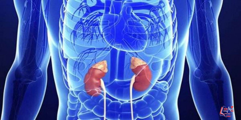 ورم القواتم Pheochromocytoma