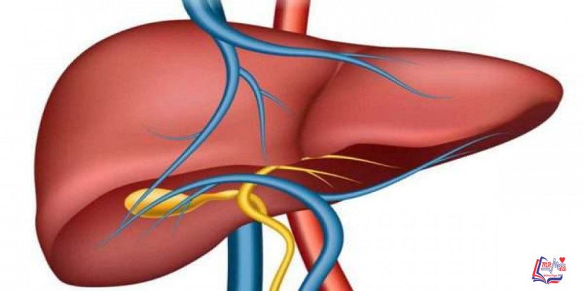 ارتفاع ضغط الدم البابي Portal hypertension